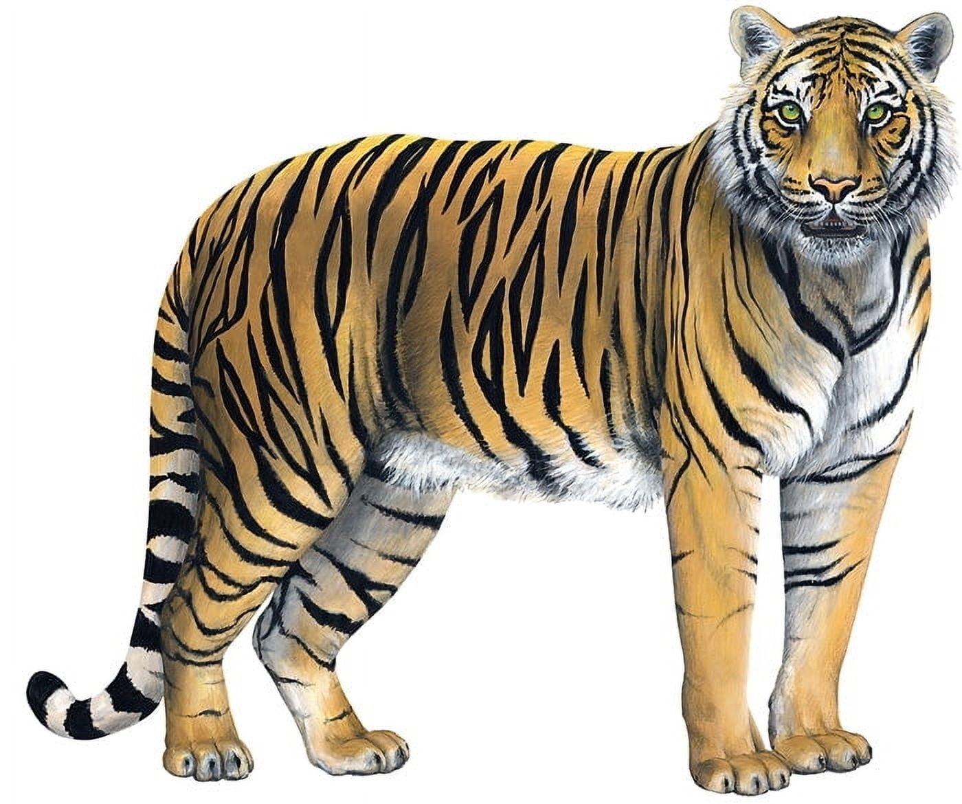 Walls of the Tiger Wall Decal Sticker