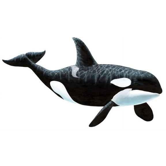 Walls of the Wild Orca Killer Whale Wall Decal Sticker