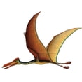 thumbnail image 1 of Walls of the Wild Quetzalcoatlus Wall Decal Sticker, 1 of 1