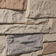 thumbnail image 1 of WallWell 3D Faux Stone Panel Sample, 12" x 9" Quality Verification Piece, 1.88" Deep Texture 1-Piece, 1 of 1