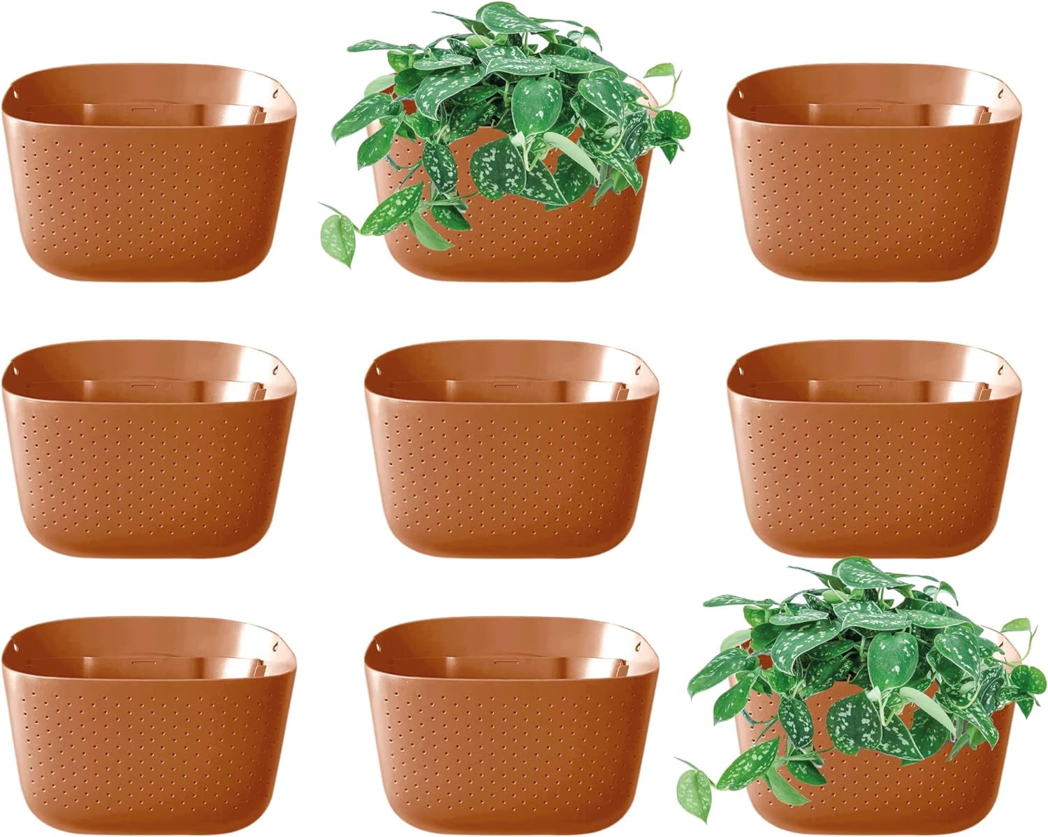 Wallygro Wall Planter, Create A Plant Wall With Hanging Planters For