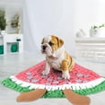 Walmart+ Home Delicate Carpet! Snuffle Mat for Dogs Fruit Shape Pet