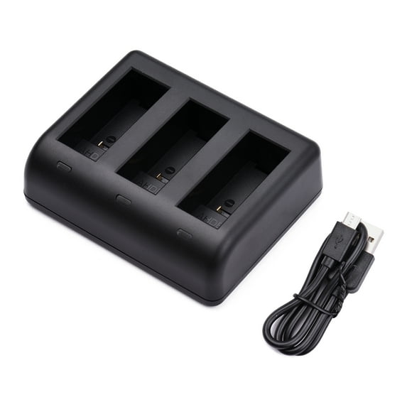 Walmeck Action Camera Battery 3-slot Fast Charging with Micro USB & Type-C Input Replacement for 9 10 Batteries