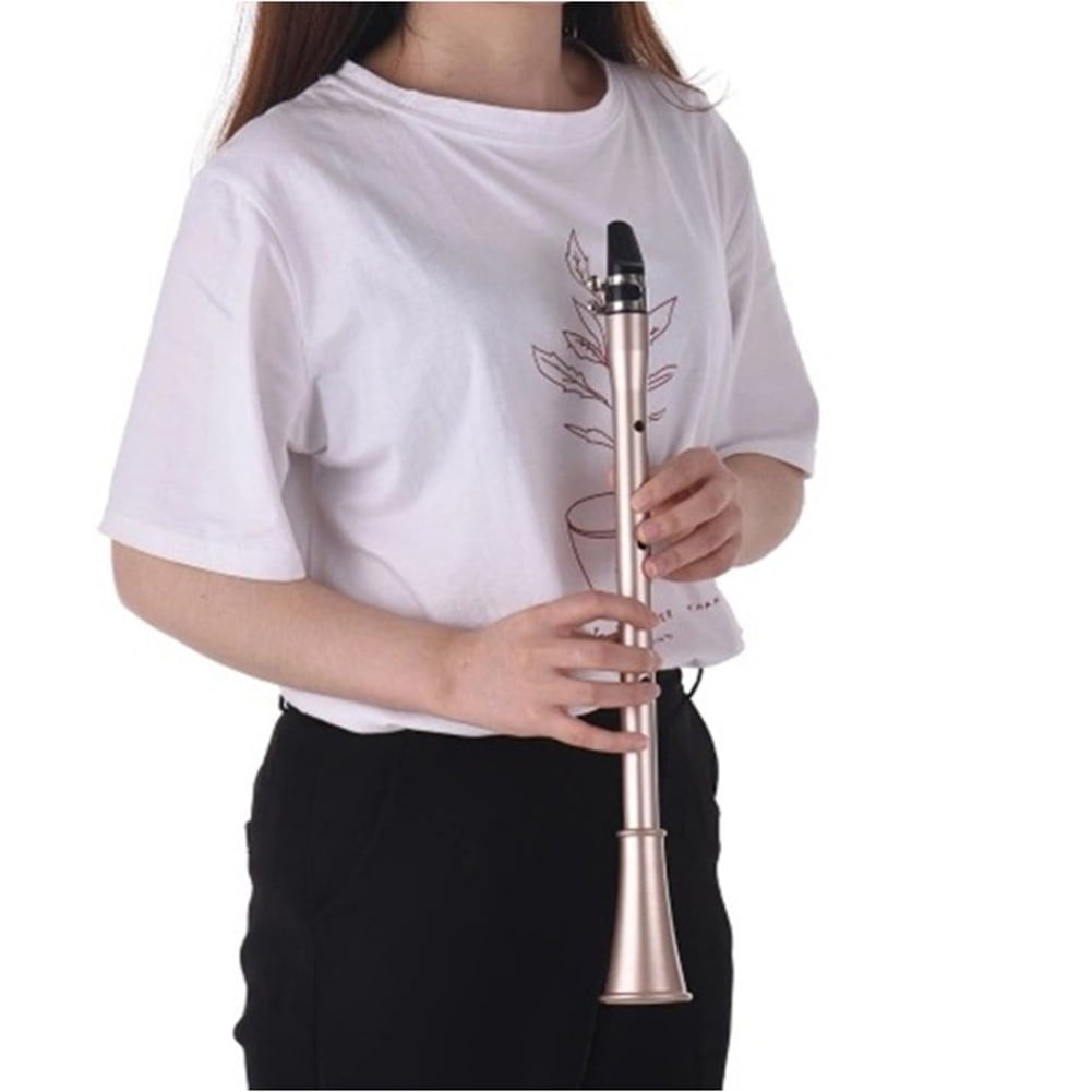 Walmeck Saxophone,Pocket Abs Sax Portable With Woodwind Sax Portable ...