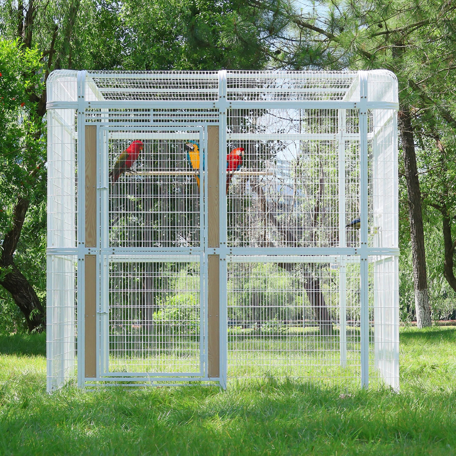 4 Best Walk-In Outdoor Aviaries for Macaws and Cockatoos in 2026