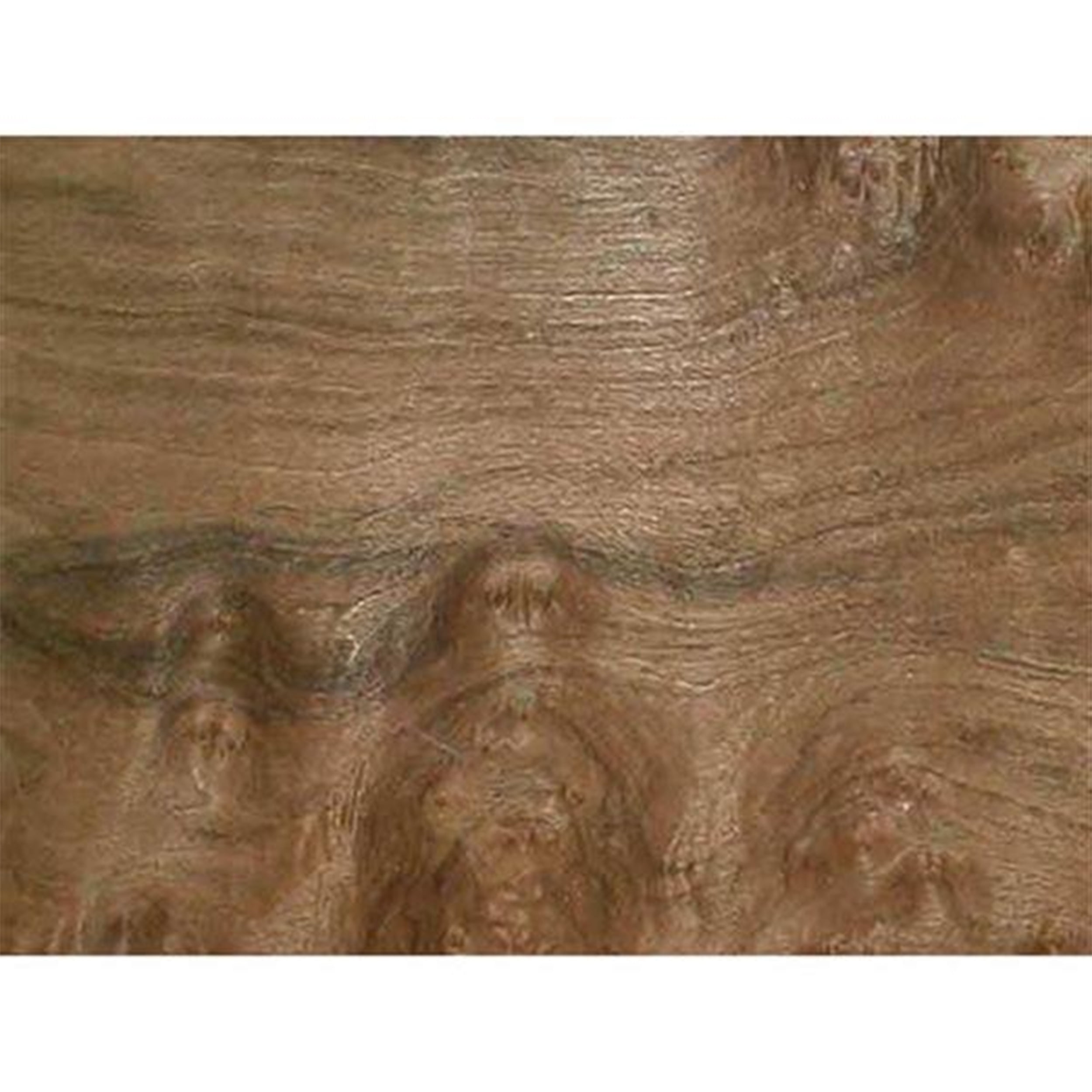 Sauers - Walnut Wood Veneer Pack - 12 x 12 - 3 Piece