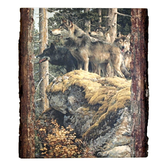 Walnut Hollow Art Print