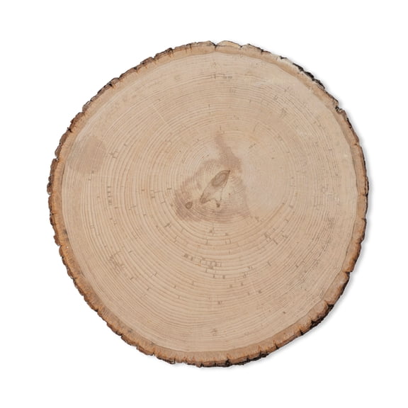 Walnut Hollow Basswood Rounds - Thick