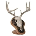 thumbnail image 1 of Walnut Hollow Country Deluxe Satin Lacquer Euro Skull Display Kit, Oak with Camo, 1 of 3