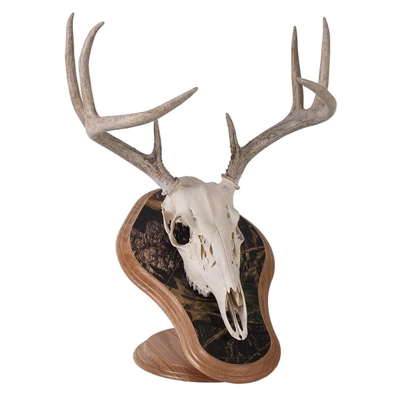 Walnut Hollow Country Deluxe Satin Lacquer Euro Skull Display Kit, Oak with Camo
