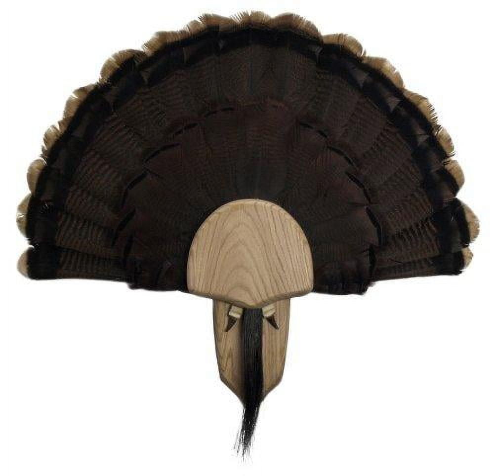 Walnut Hollow Country Solid Oak Turkey Mount Kit for Turkey Fan Tail