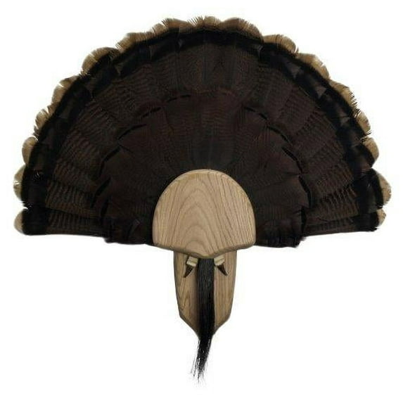 Walnut Hollow Country Solid Oak Turkey Mount Kit for Turkey Fan Tail and Beard Display