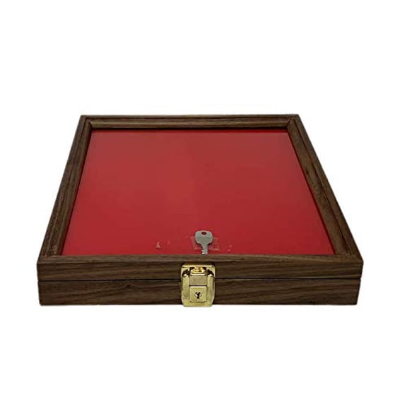Walnut Wood Display Case 12 x 12 x 2 for Arrowheads Knives Collectibles and More