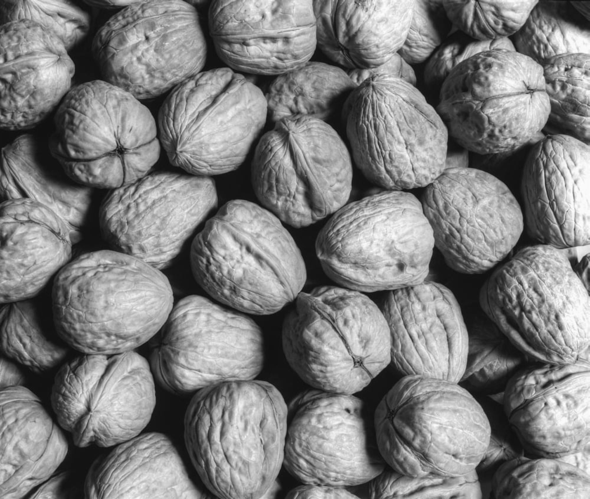 Walnuts Waterloo Quebec Canada Canvas Art - David Chapman Design Pics (16 x 14)