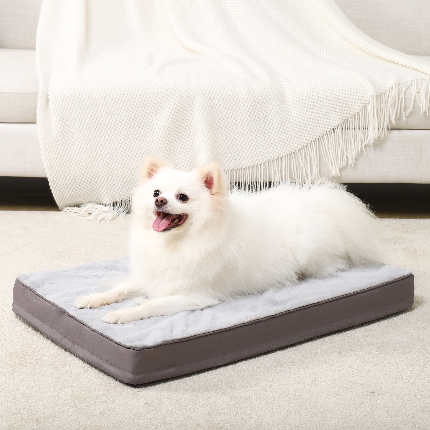 Fresh Look at Waterproof 23 Dog Bed For Medium Dogs With Washable Removable