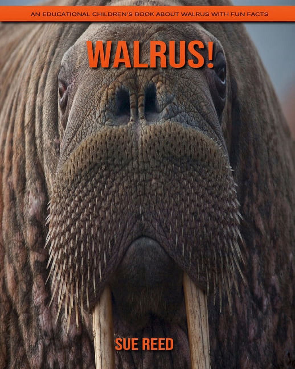 Walrus! An Educational Children's Book about Walrus with Fun Facts