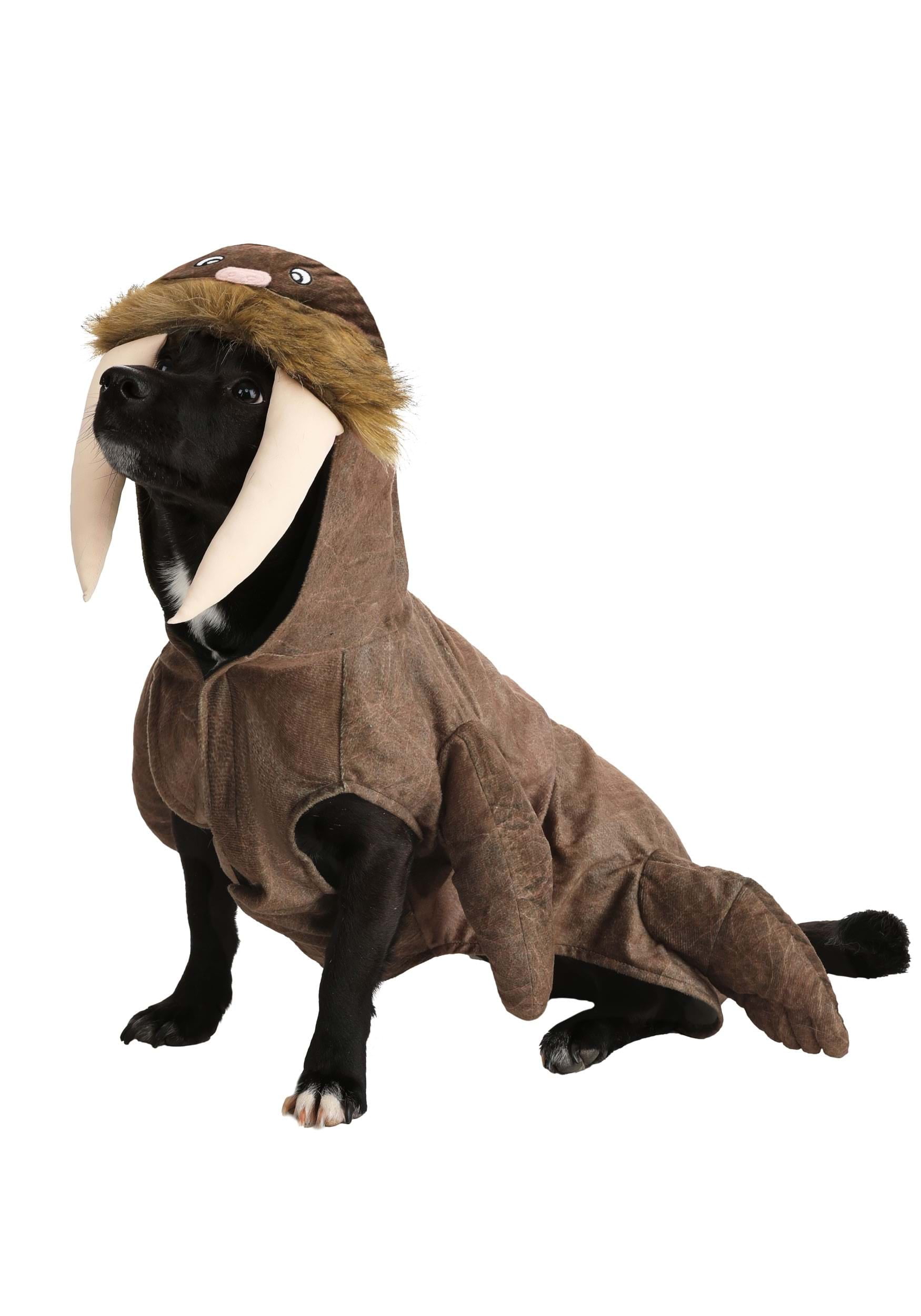 Walrus Dog Costume - Walmart Business Supplies