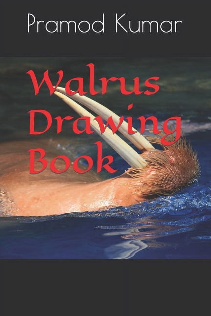 Walrus Drawing Book (Paperback)