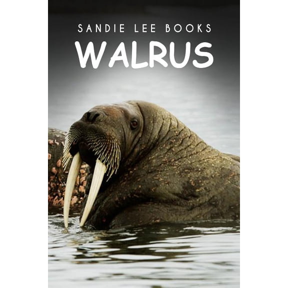 Walrus - Sandie Lee Books (Paperback)