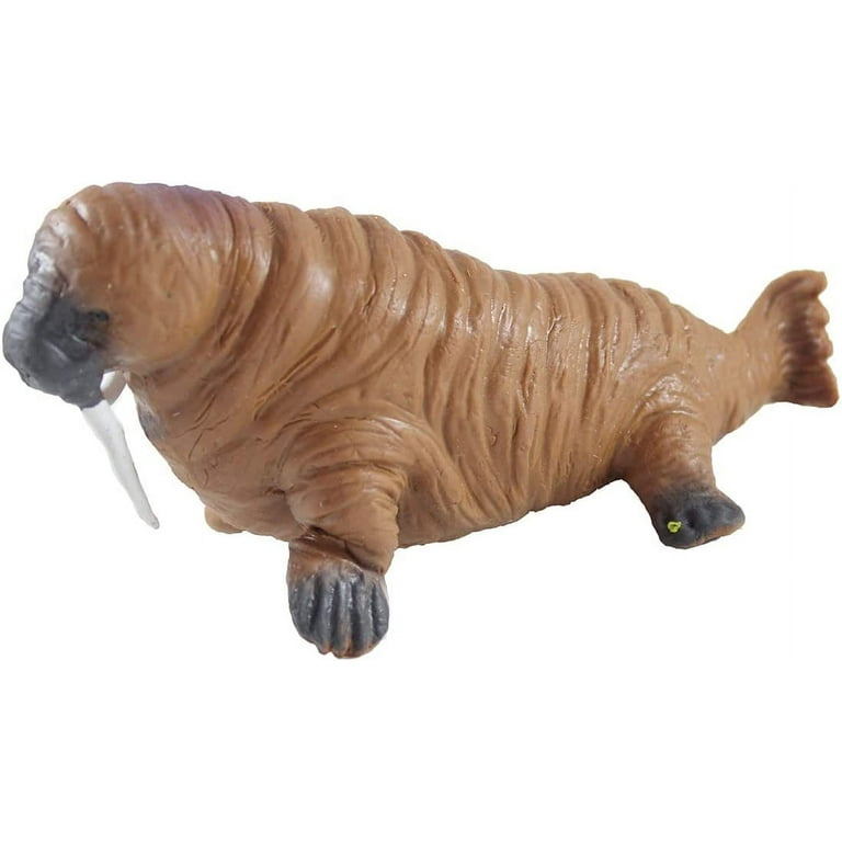 Walrus squishy cheap
