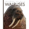 thumbnail image 1 of Walruses -- Valerie Bodden, 1 of 1