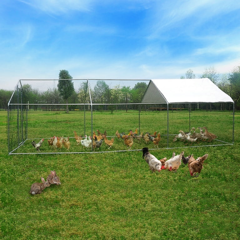 Sturdy Spacious chicken net cage for Varied Animals 
