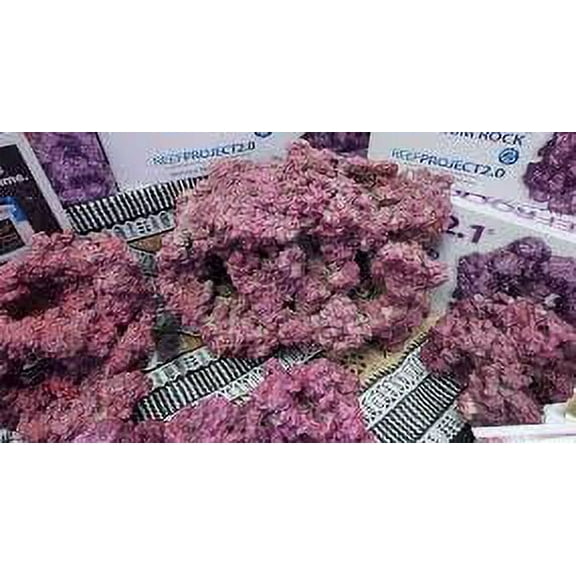 Walt Smith Project Reef Rock 2.1 Dry Rock / MINI-NANO (11lbs.)