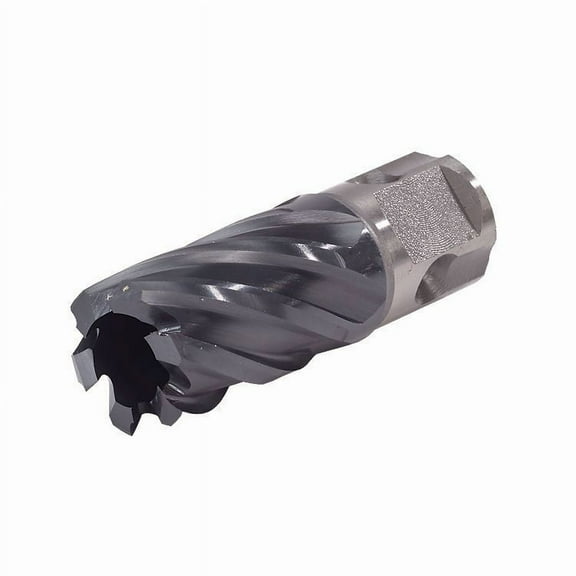 Walter 05F102 1-1/8" x 1" Icecut Annular Core Cutter, Universal Shank