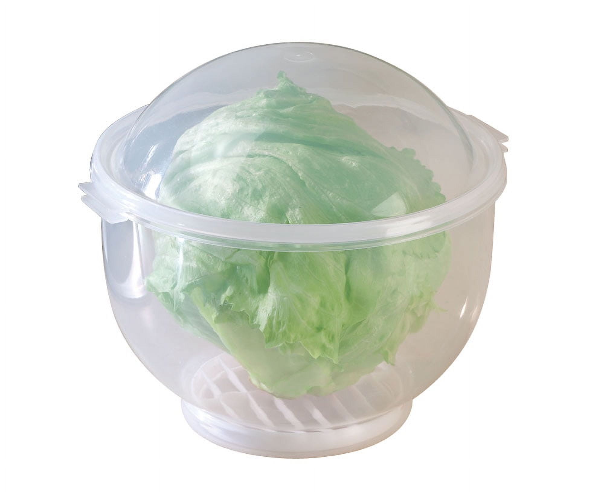 Trenton Gifts Lettuce and Vegatable Storage Keeper | 7 x 8