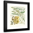 thumbnail image 1 of Walter Fitch Hood 11x14 Black Modern Framed Museum Art Print Titled - Decaisnea Notable, H.F. and T. (1855), 1 of 5