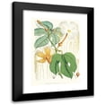 thumbnail image 1 of Walter Fitch Hood 11x14 Black Modern Framed Museum Art Print Titled - Hodgsonia Heteroclita, Hook. Fil. Et Thoms. (Female Plant). (1855), 1 of 5