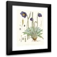 thumbnail image 1 of Walter Fitch Hood 11x14 Black Modern Framed Museum Art Print Titled - Meconopsis Simplifolia, H. F. and T. (1855), 1 of 5