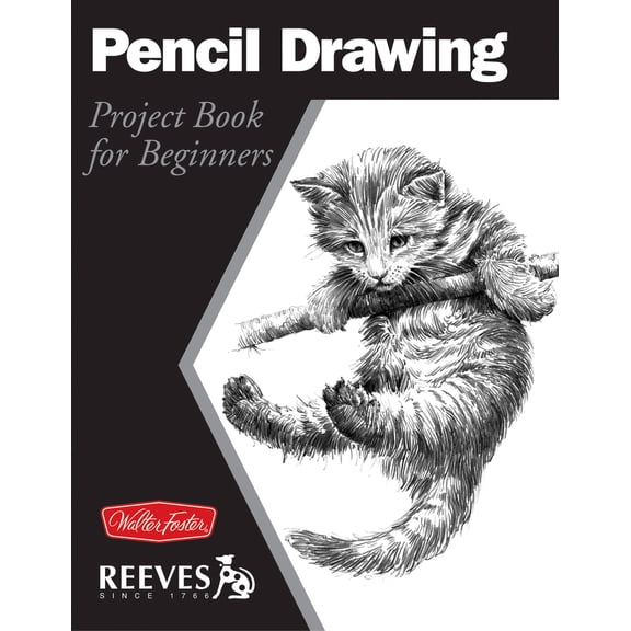 Pre-Owned Pencil Drawing: Project Book for Beginners (Paperback) 1560107391 9781560107392