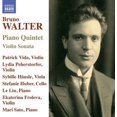 thumbnail image 1 of Walter / Frolova / Vida - Bruno Walter: Piano Quintet & Violin Sonata - Music & Performance - CD, 1 of 2