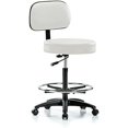 Walter Rolling Height Adjustable Exam Stool with Back and Footring for
