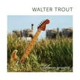 thumbnail image 1 of Walter Trout - Common Ground - Music & Performance - CD, 1 of 1