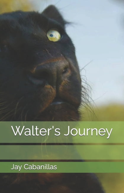 Walter's Journey, (Paperback)