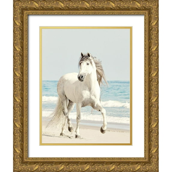 Walters, Jan 19x24 Gold Ornate Wood Framed with Double Matting Museum Art Print Titled - Beach Run