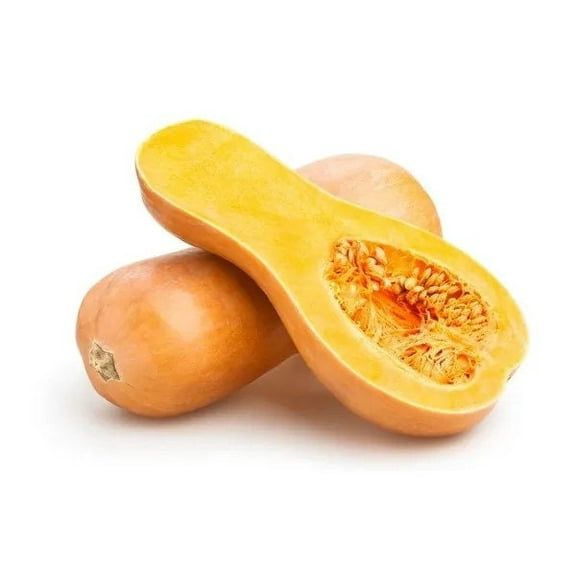 Waltham Butternut Squash OG Seeds
