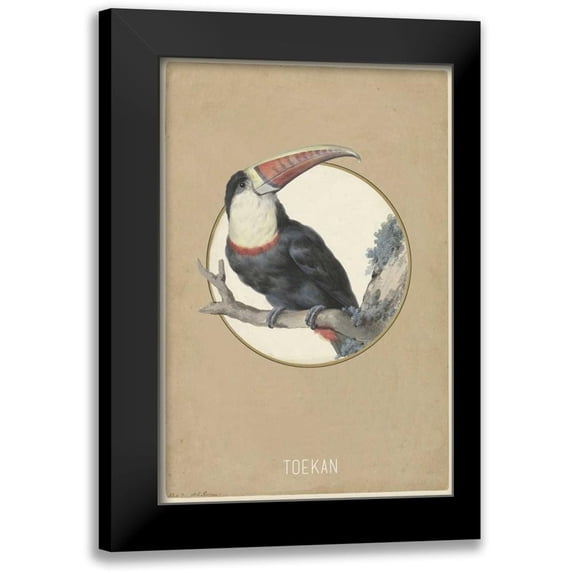 Waltz, Anne 11x14 Black Modern Framed Museum Art Print Titled - Toekan