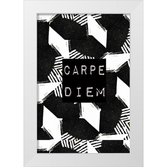 Waltz, Anne 17x24 White Modern Wood Framed Museum Art Print Titled - Carpe diem