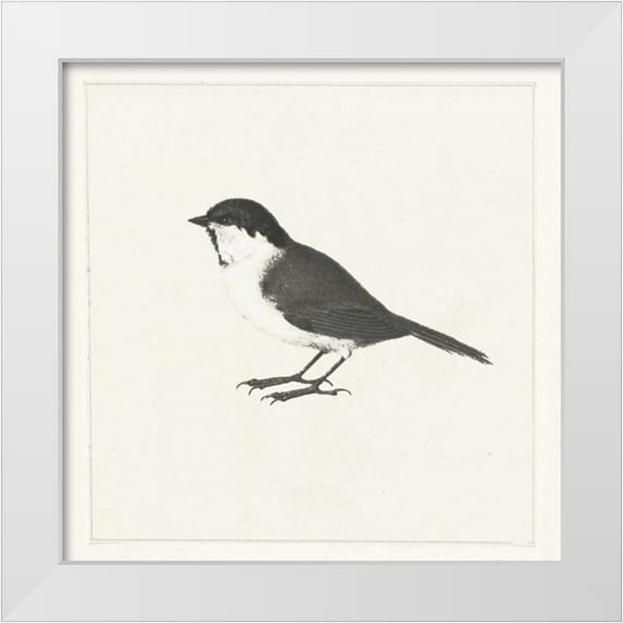 Waltz, Anne 20x20 White Modern Wood Framed Museum Art Print Titled - Birdy II