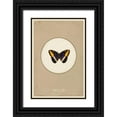 thumbnail image 1 of Waltz, Anne 23x32 Black Ornate Wood Framed with Double Matting Museum Art Print Titled - Papillion, 1 of 4