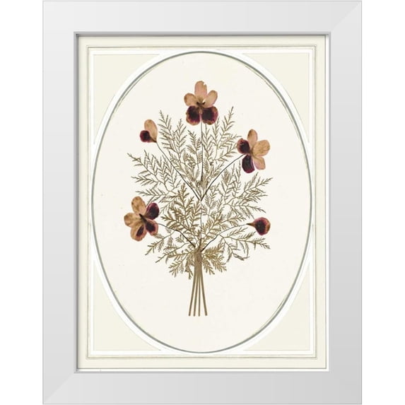Waltz, Anne 25x32 White Modern Wood Framed Museum Art Print Titled - Gardenio II