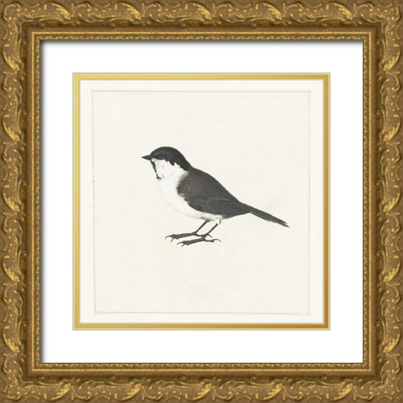 Waltz, Anne 26x26 Gold Ornate Wood Framed with Double Matting Museum Art Print Titled - Birdy II