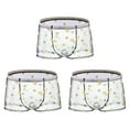 thumbnail image 1 of Wancir Men's Sheer Boxer Briefs Floral Daisy Print with Breathable Mesh Panels, 1 of 4