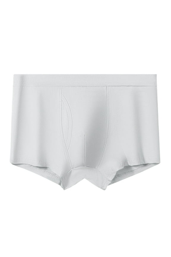 Wancir Mens Trunks Underwear Soft Breathable Rayon Made from Bamboo Trunk No Fly Pouch