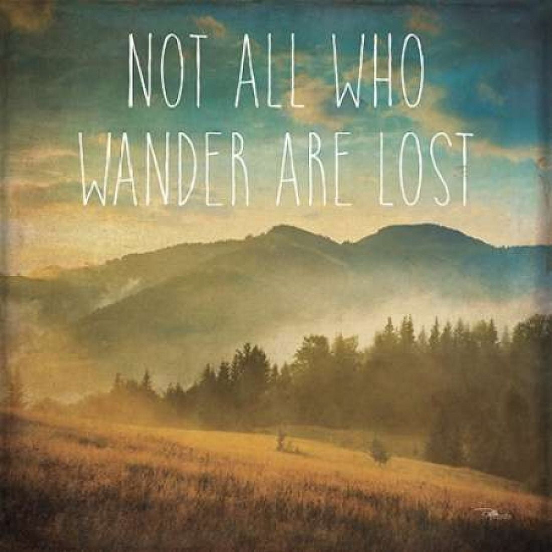 Wander II Canvas Art - Pela Studio (24 x 24)