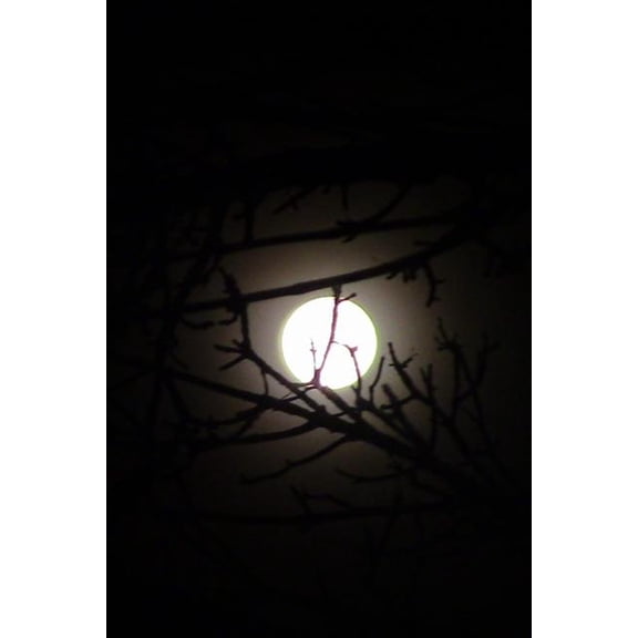 Wanderers Notebook: Full Moon 100 Pages, College Ruled Paperback 1731586671 9781731586674 Wandering Whispers