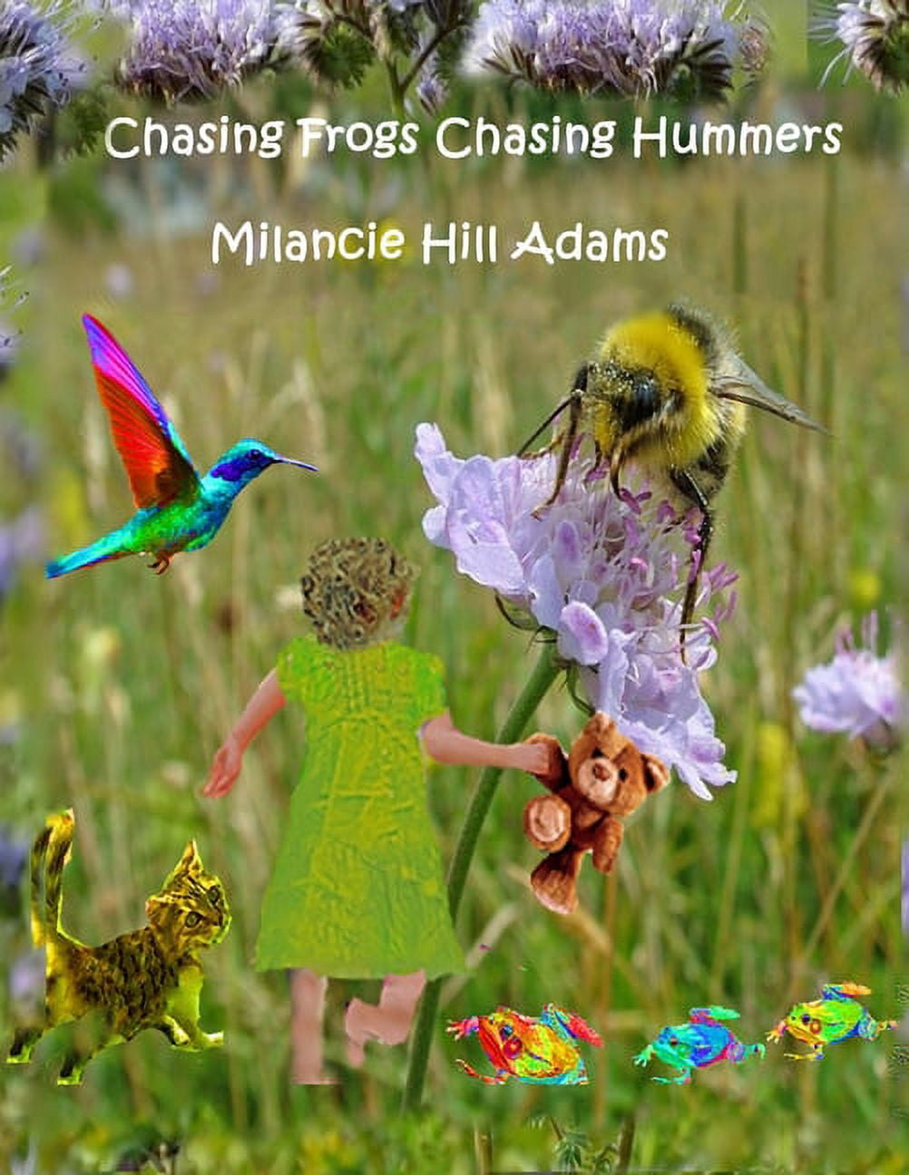 Wanderer Weaver Chasing Frogs Chasing Hummers, Book 6, (Paperback)